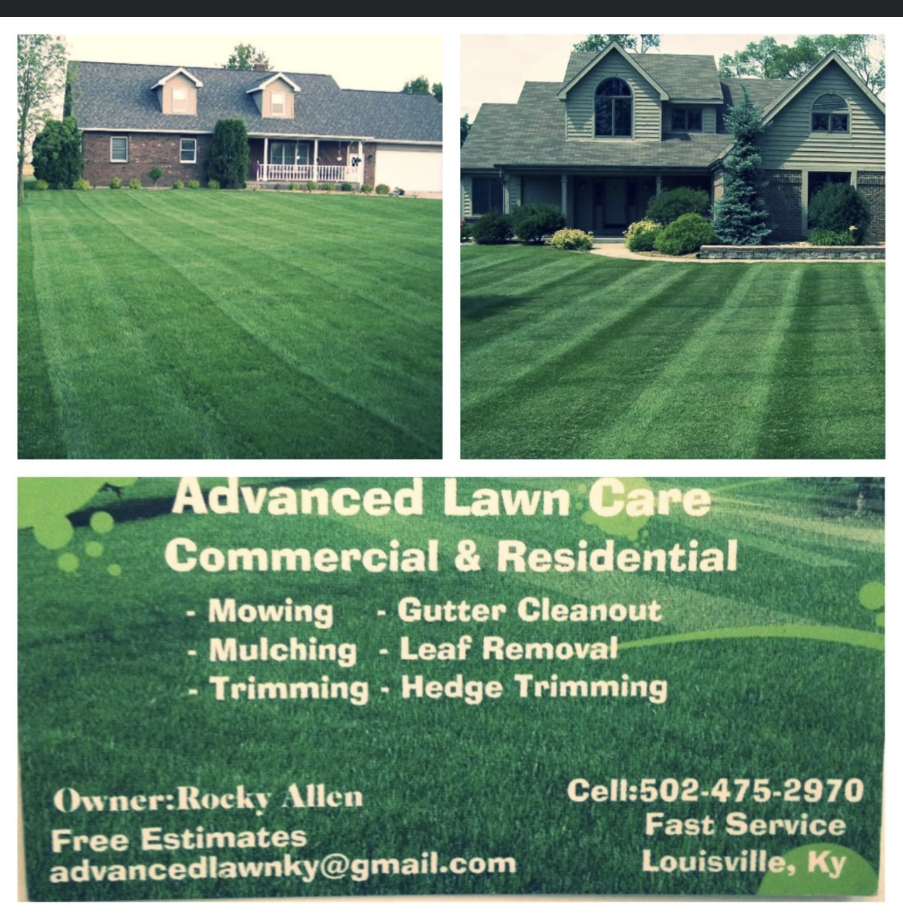 Advanced Lawn Care logo