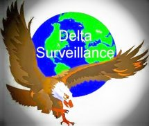 DELTA SURVEILLANCE logo