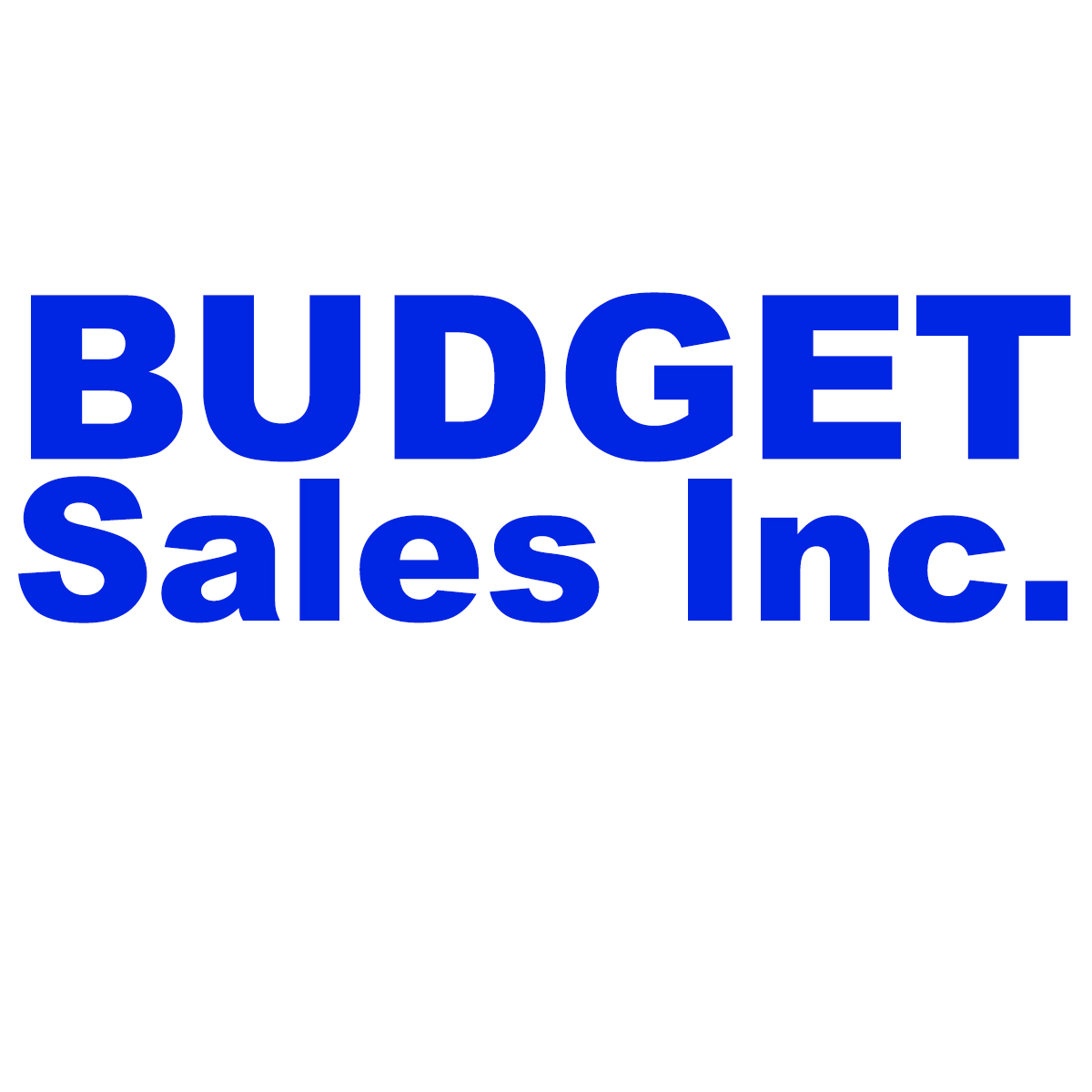 BUDGET SALES INC logo