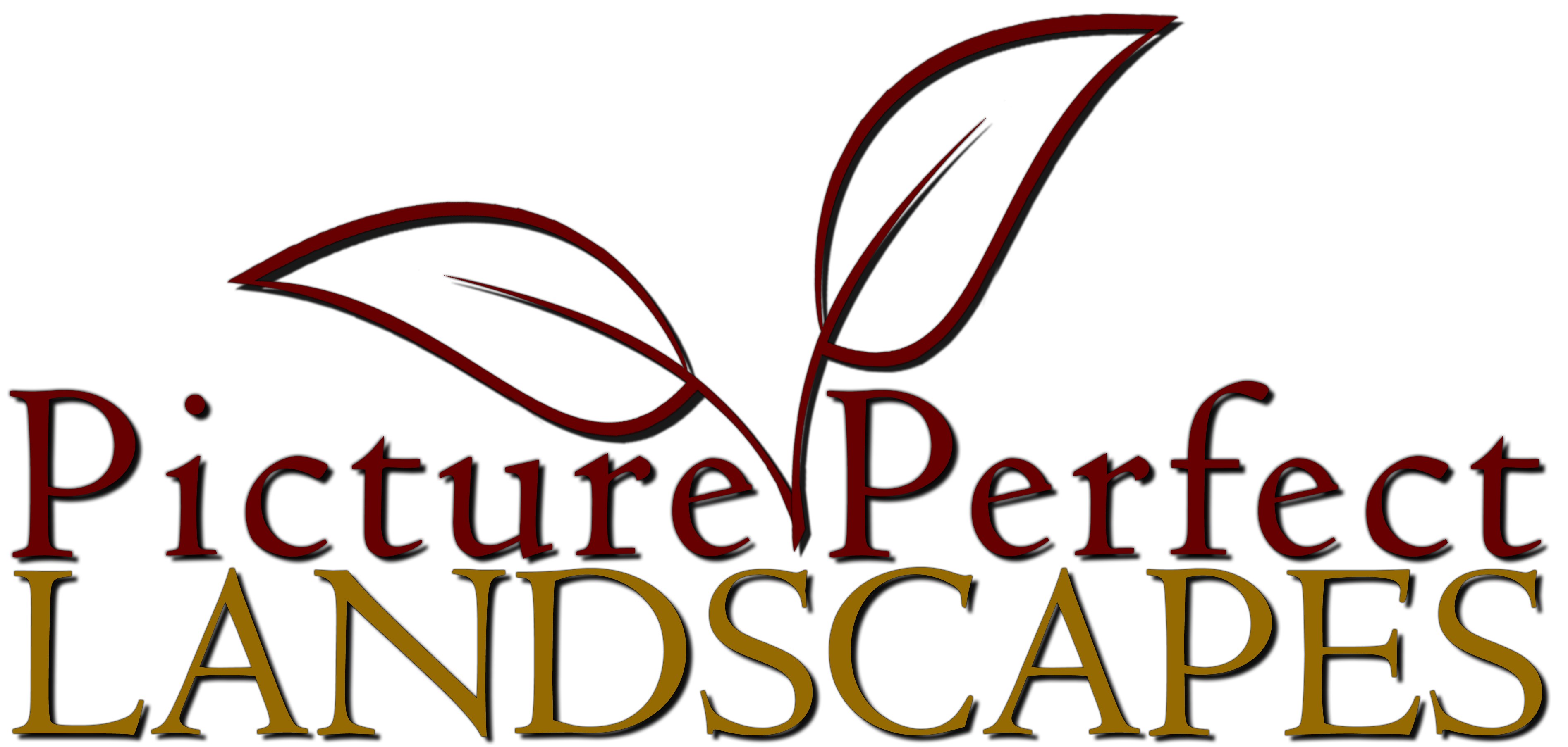 Avatar for Picture Perfect Landscapes