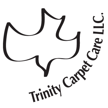 Beyond Steam Carpet Cleaning logo