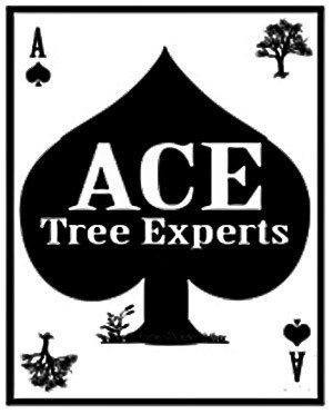 ACE Tree Experts logo
