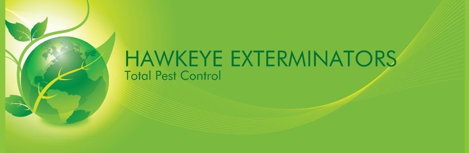 Avatar for HAWKEYE EXTERMINATORS