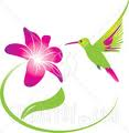 Humming Byrd Cleaning Service LLC logo
