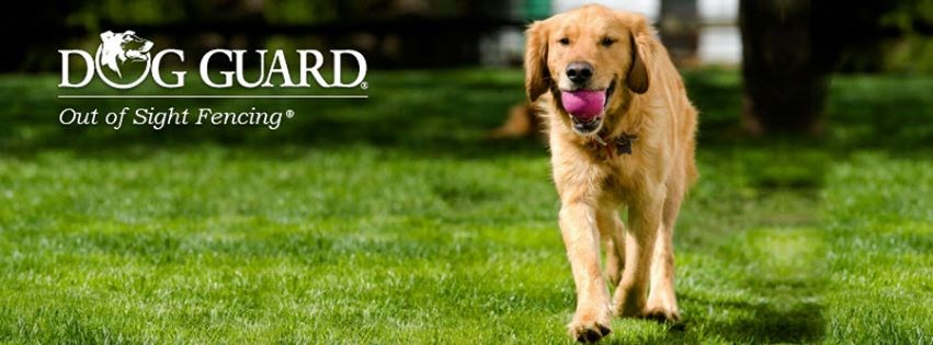 Dog Guard Out-Of-Sight Fencing logo
