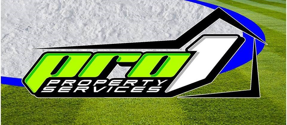 Pro 1 Property services logo