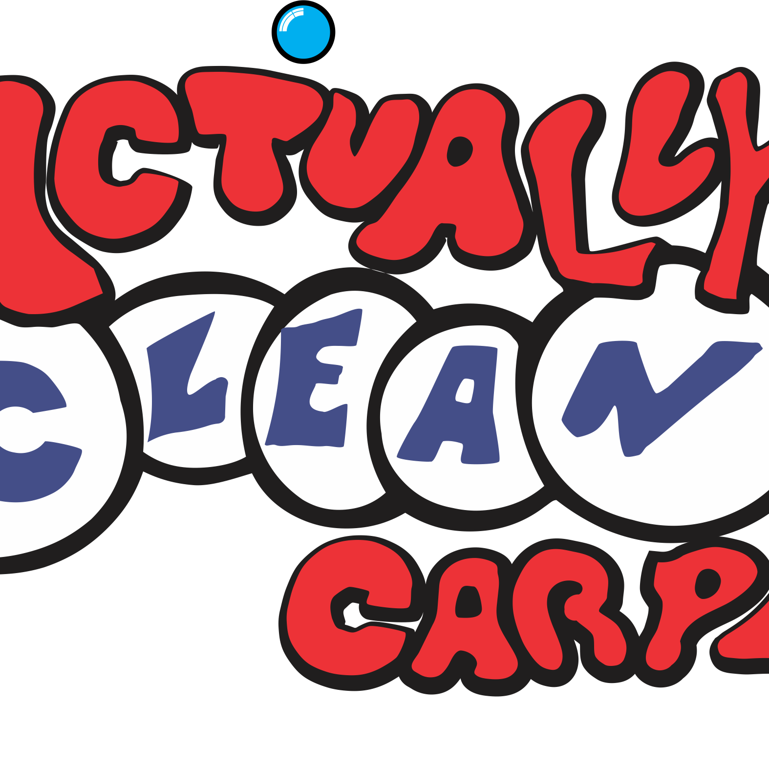 ACTUALLY CLEAN CARPET logo