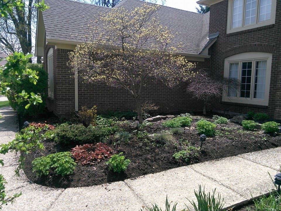 McDaniel And Sons Enterprise logo