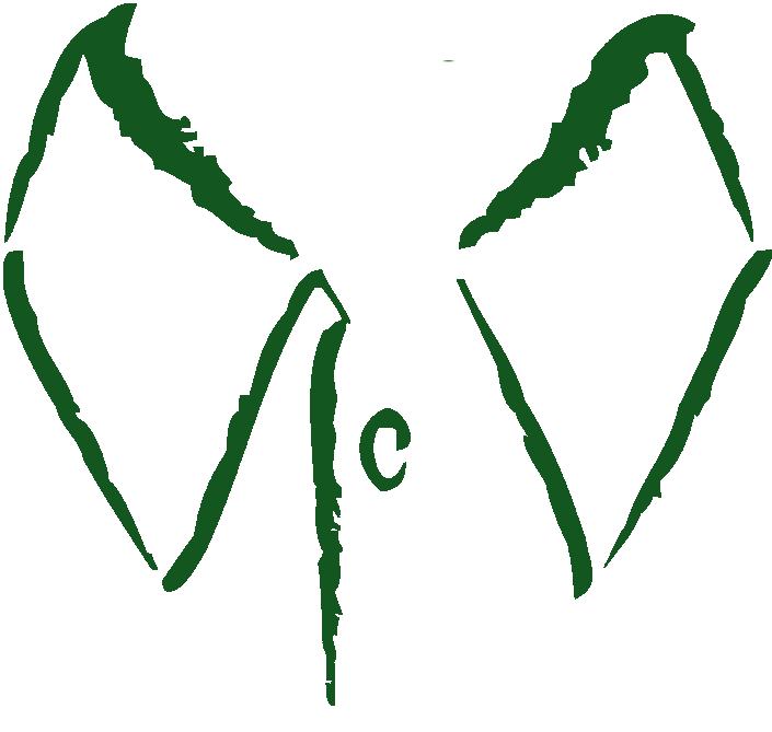 St Croix Cleaners logo