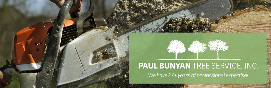 Paul Bunyan Tree Service, LLC logo