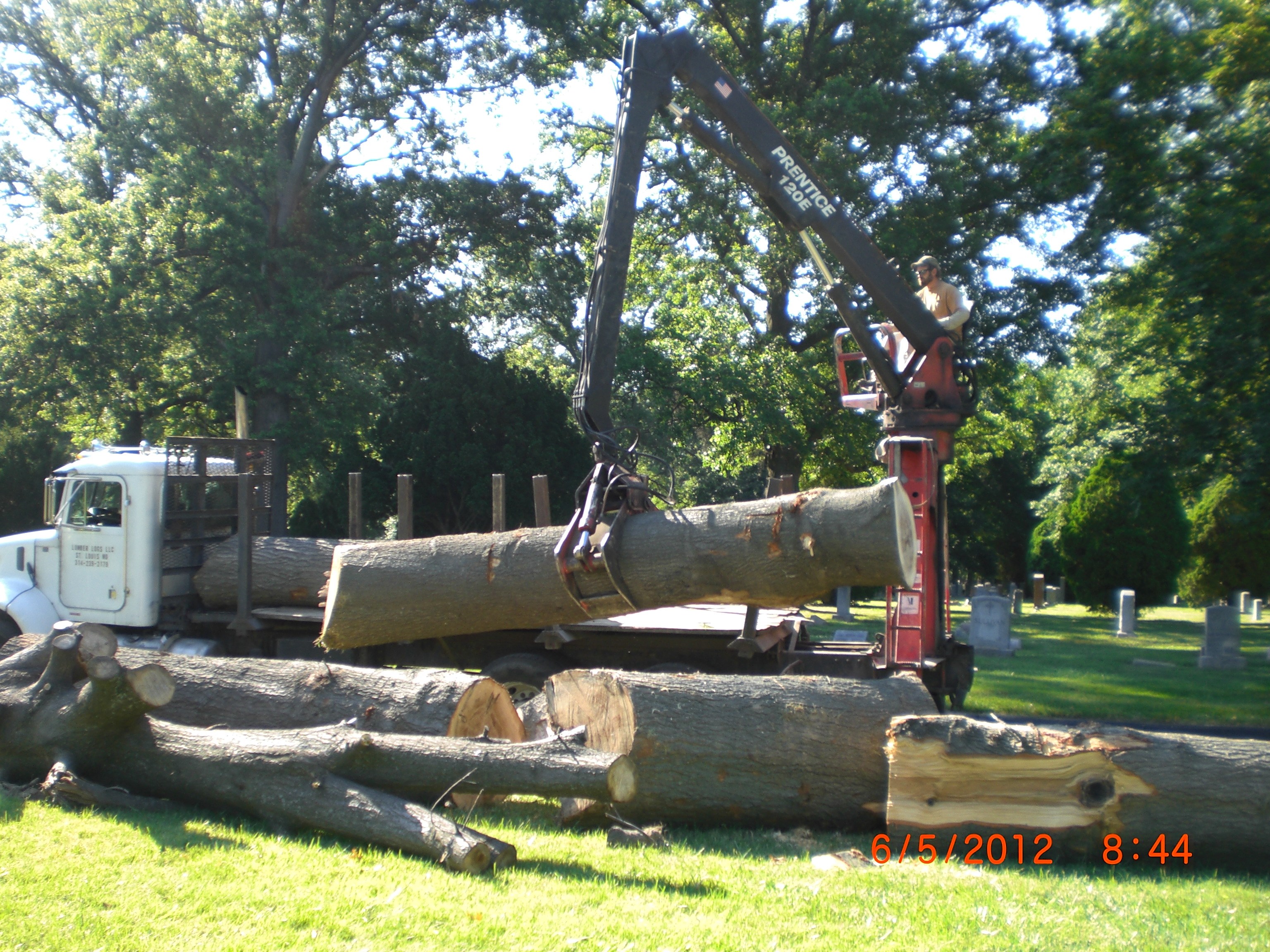 DOVER'S TREE SERVICE logo