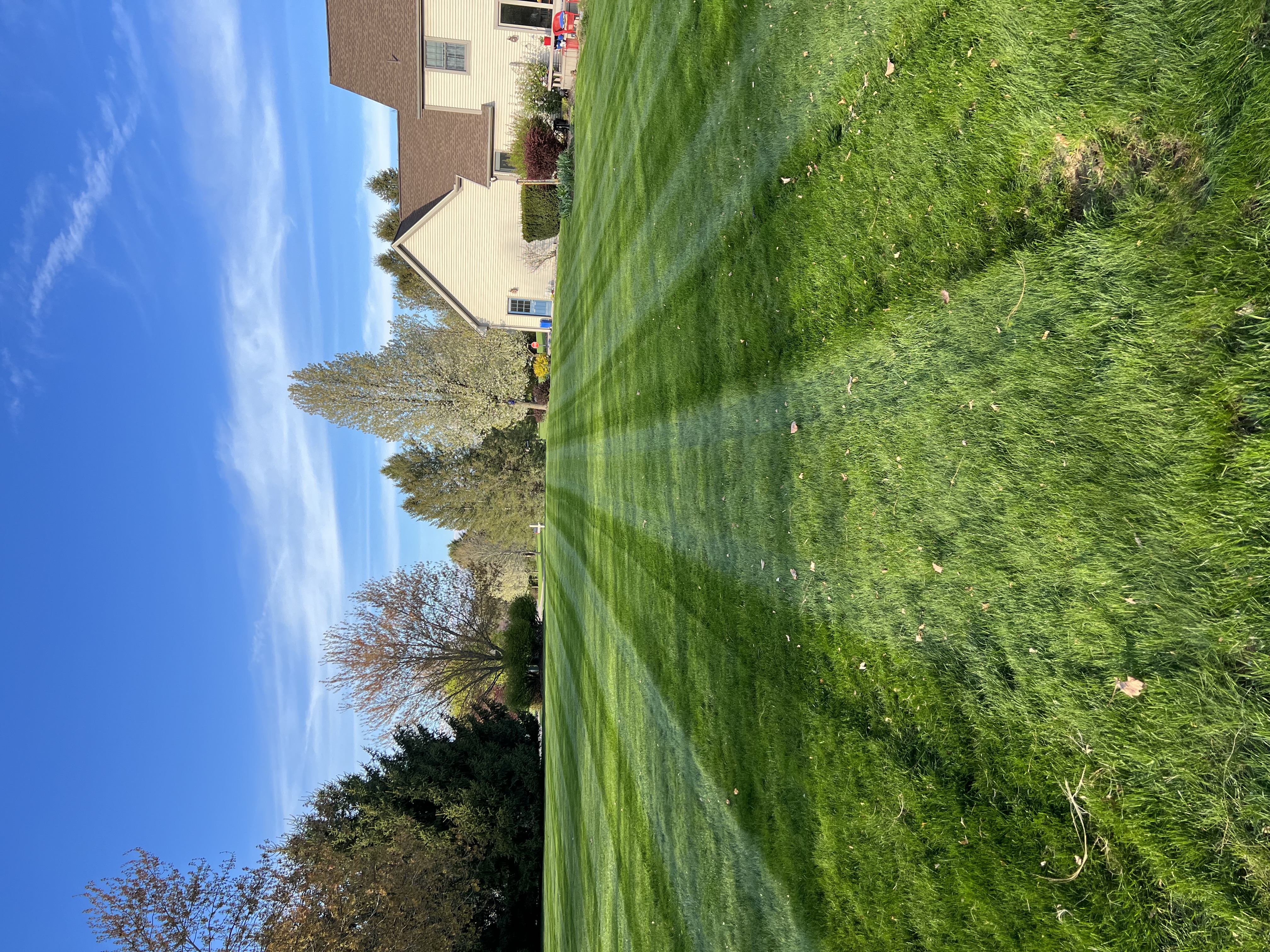 Backyard Lawn and Landscape logo