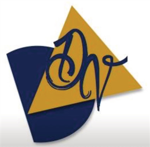 Double Vision Design Studios logo