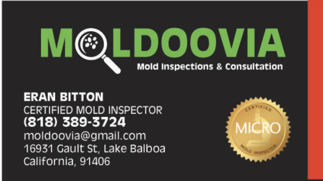 Avatar for Moldoovia
