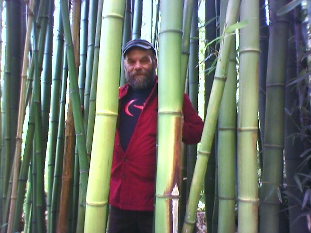 Avatar for SAN FRANCISCO GARDEN MAN