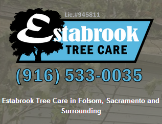 Estabrook Tree Care logo