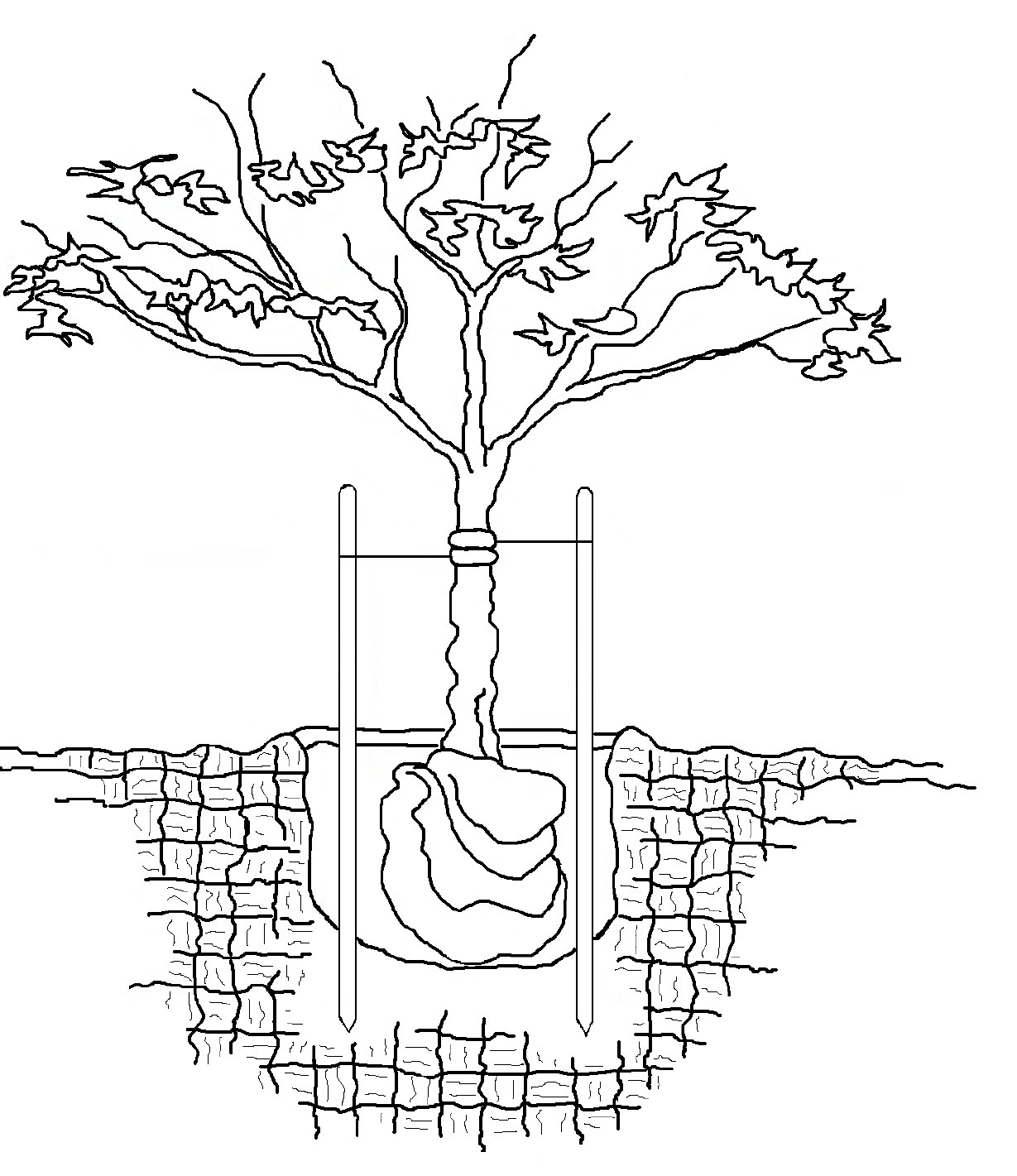 HOVIG LANDSCAPE INC logo