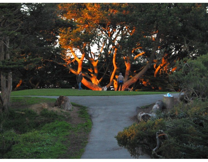 Miller Company Landscape Architects logo