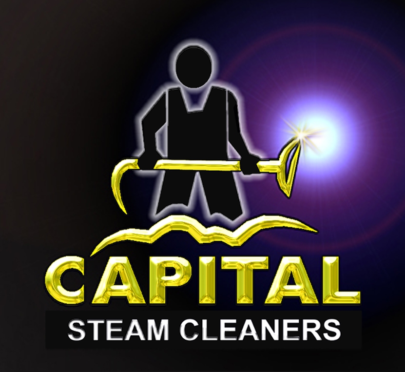 CAPITAL STEAM CLEANERS INC logo
