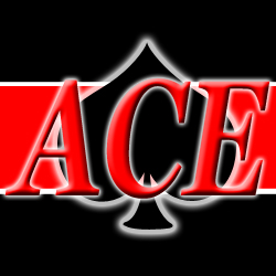 Logo for Ace Garage Doors