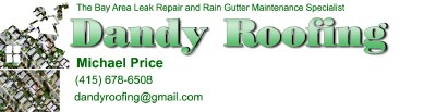 Dandy Roofing logo