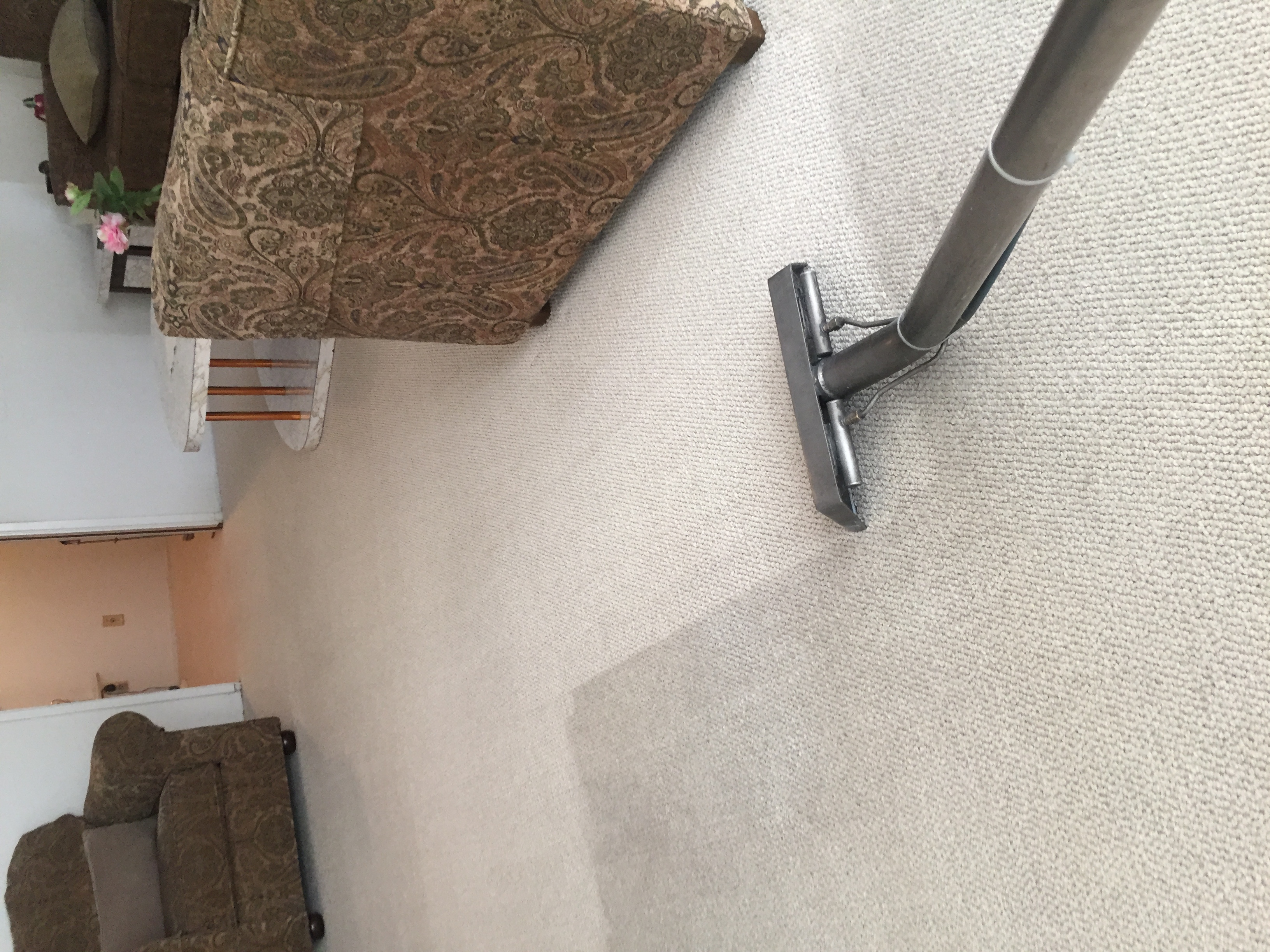 Vargas Professional Cleaning logo