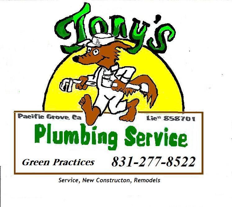 Tony's Plumbing logo