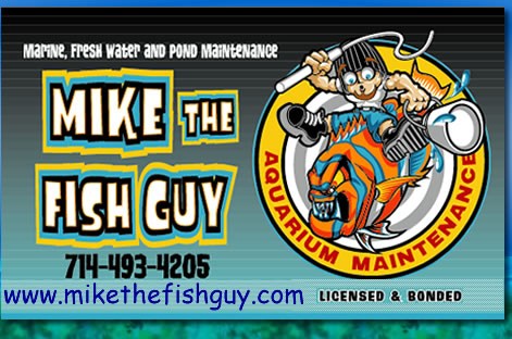 Affordable Aquarium Maintenance logo