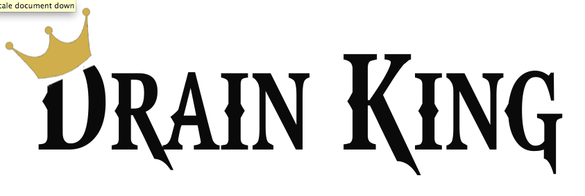 The Drain King logo