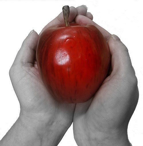 Firstfruits Moving logo