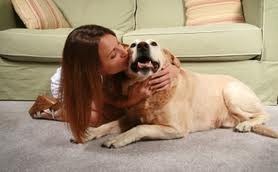 Carpet Cleaning Simi Valley logo