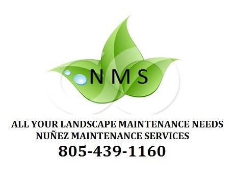 Avatar for Nunez Maintenance Services