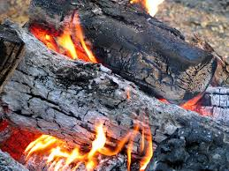Holiday Firewood logo