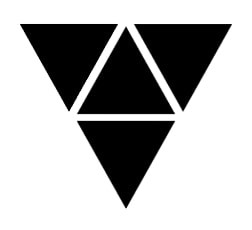 Vanguard Information Technology Solutions Inc logo