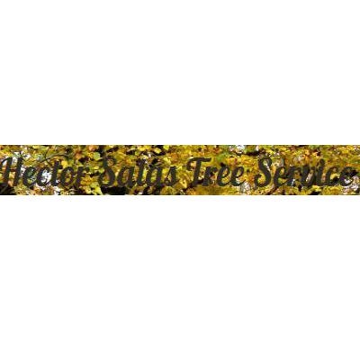 Logo for Hector Salas Tree Service
