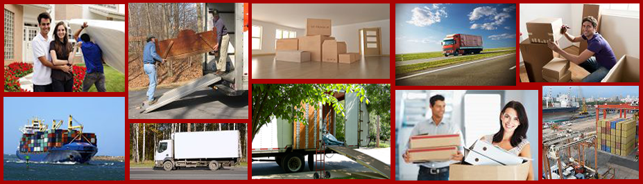 Economy Movers & Storage of Winnetka logo