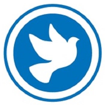 Cleaning Spirit logo