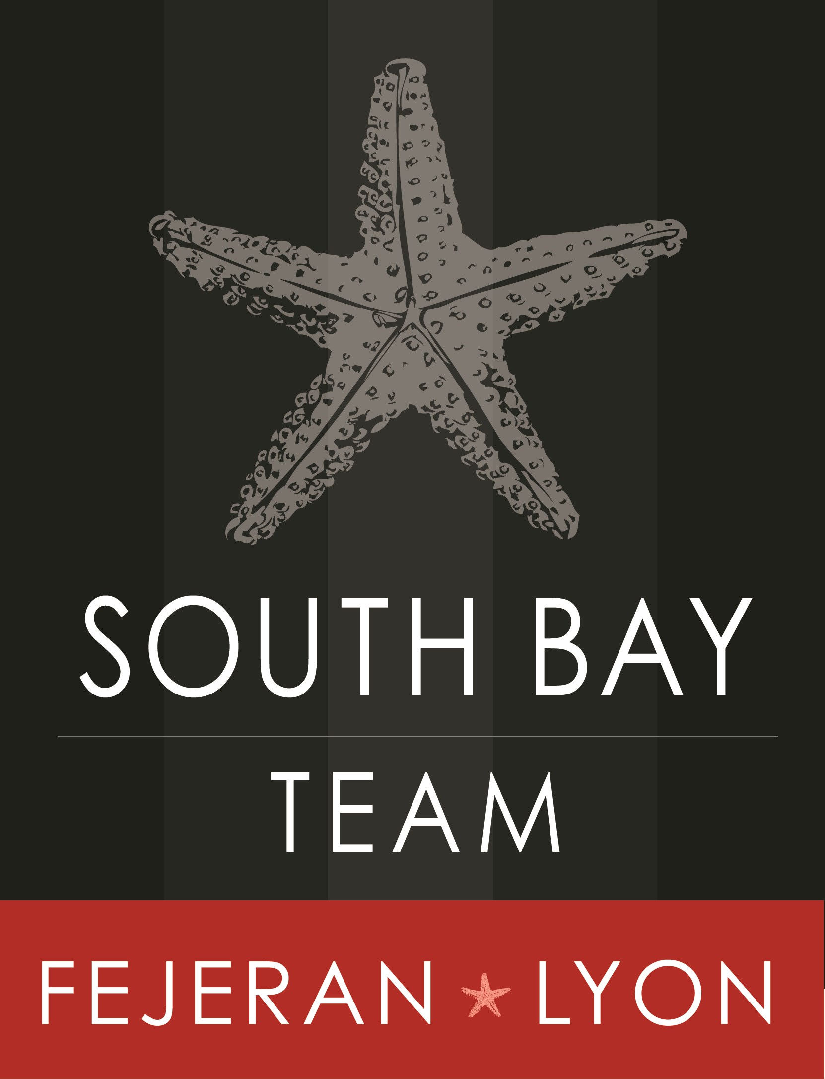 South Bay Team Fejeran Lyon logo