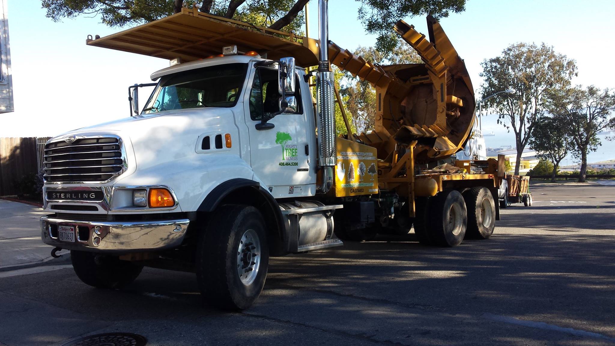 Mighty Tree Movers Inc. logo