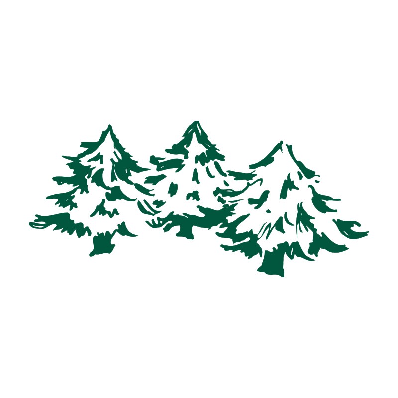 Logo for TimberTown Austin