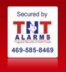 TNT Alarms logo
