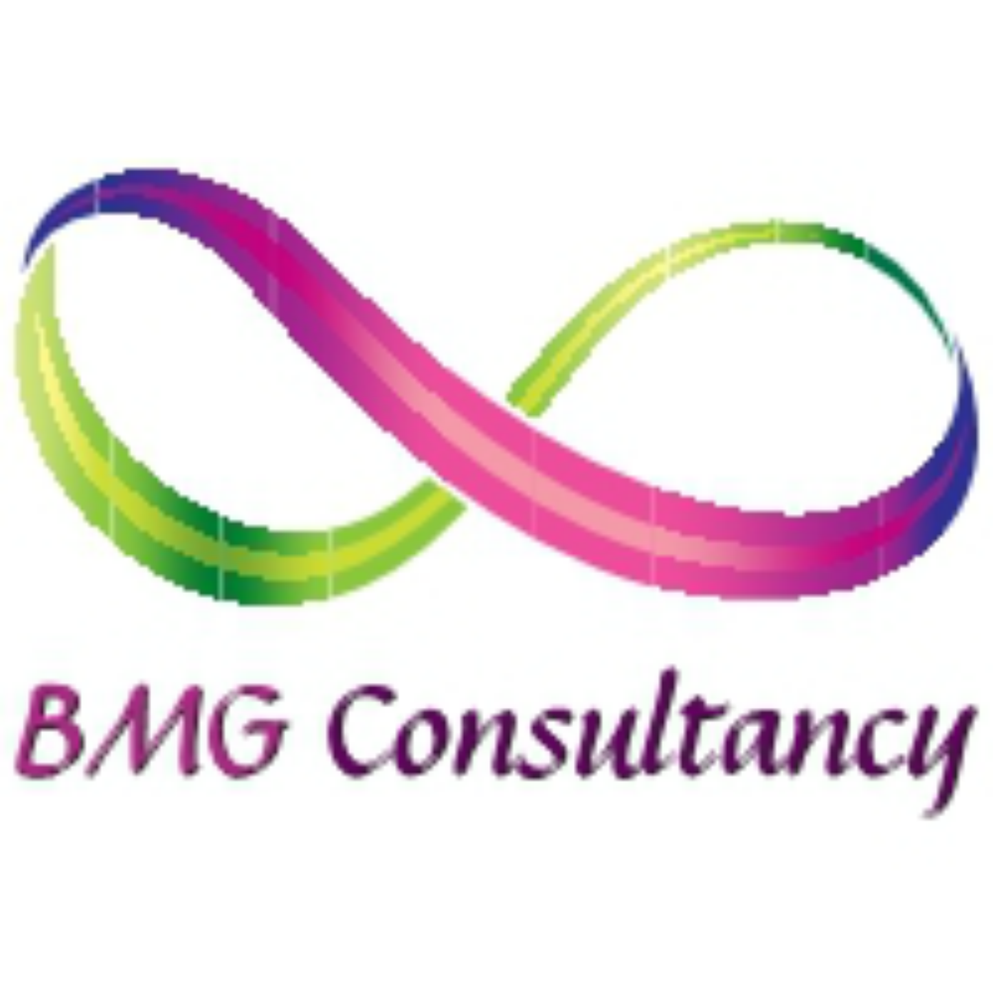 BMG Consultancy LLC logo