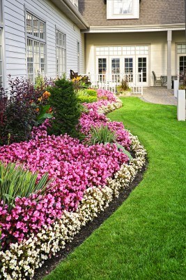 Chris Richey Professional Lawn Services logo