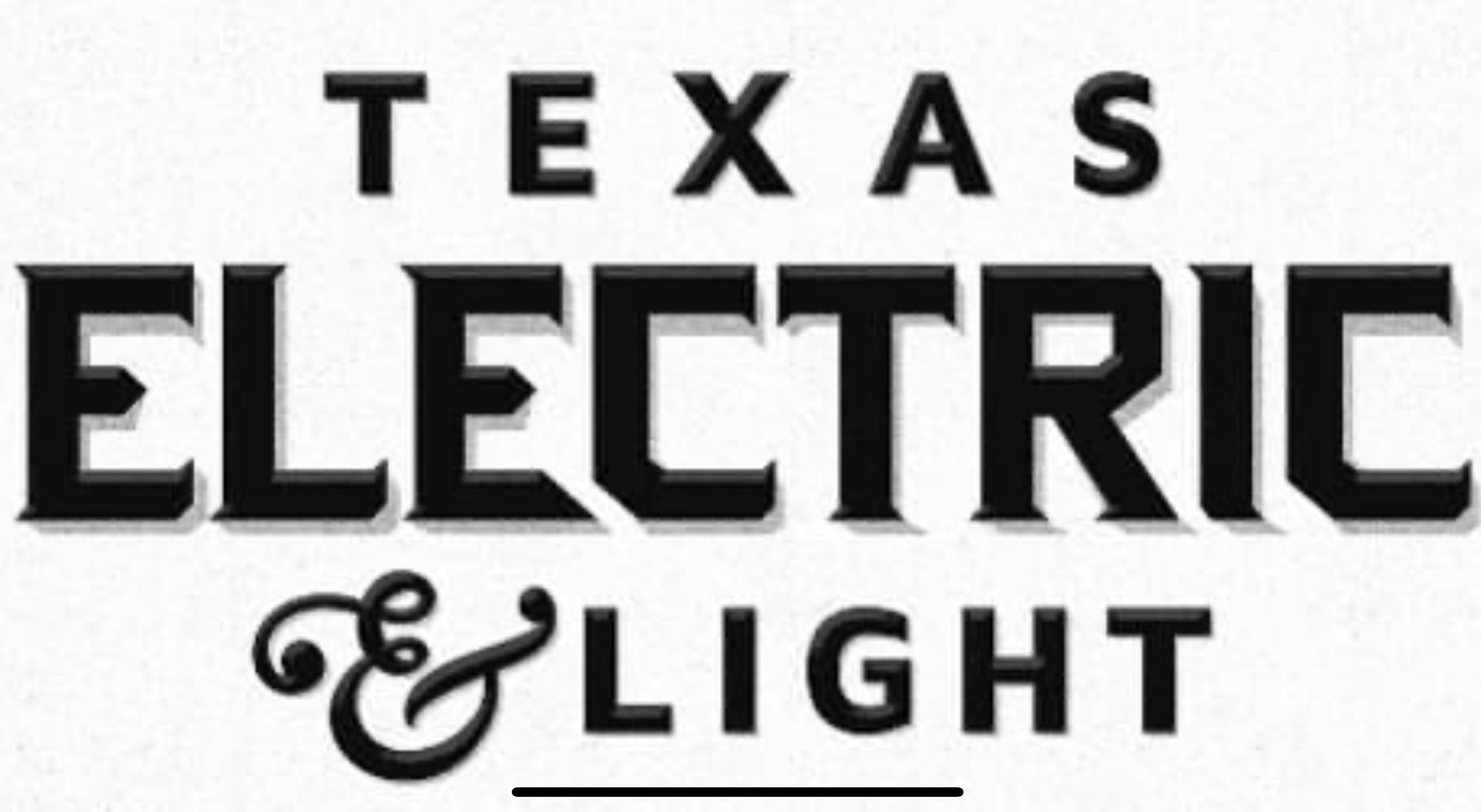 TEXAS ELECTRIC AND LIGHT LLC logo