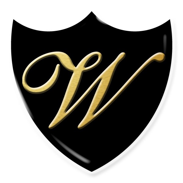 Wise Homes logo