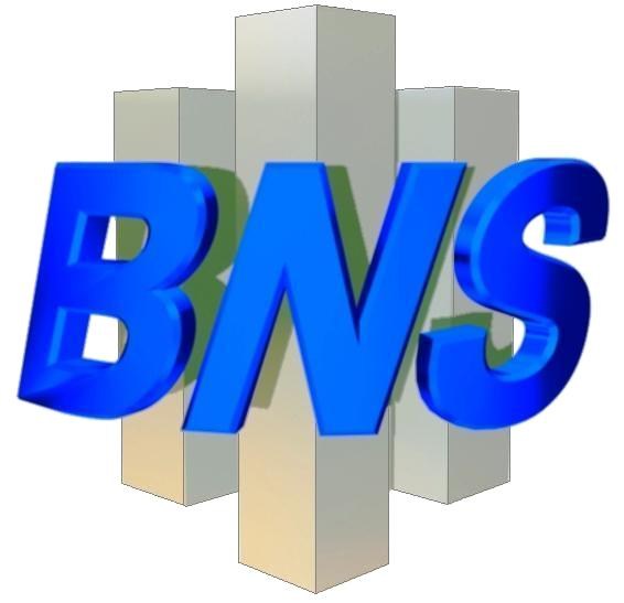 Business Network Solutions logo