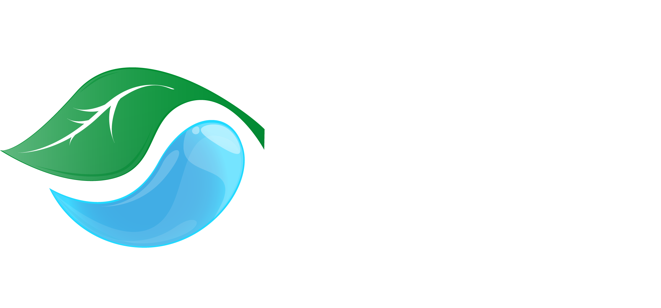 Texas Rainman logo