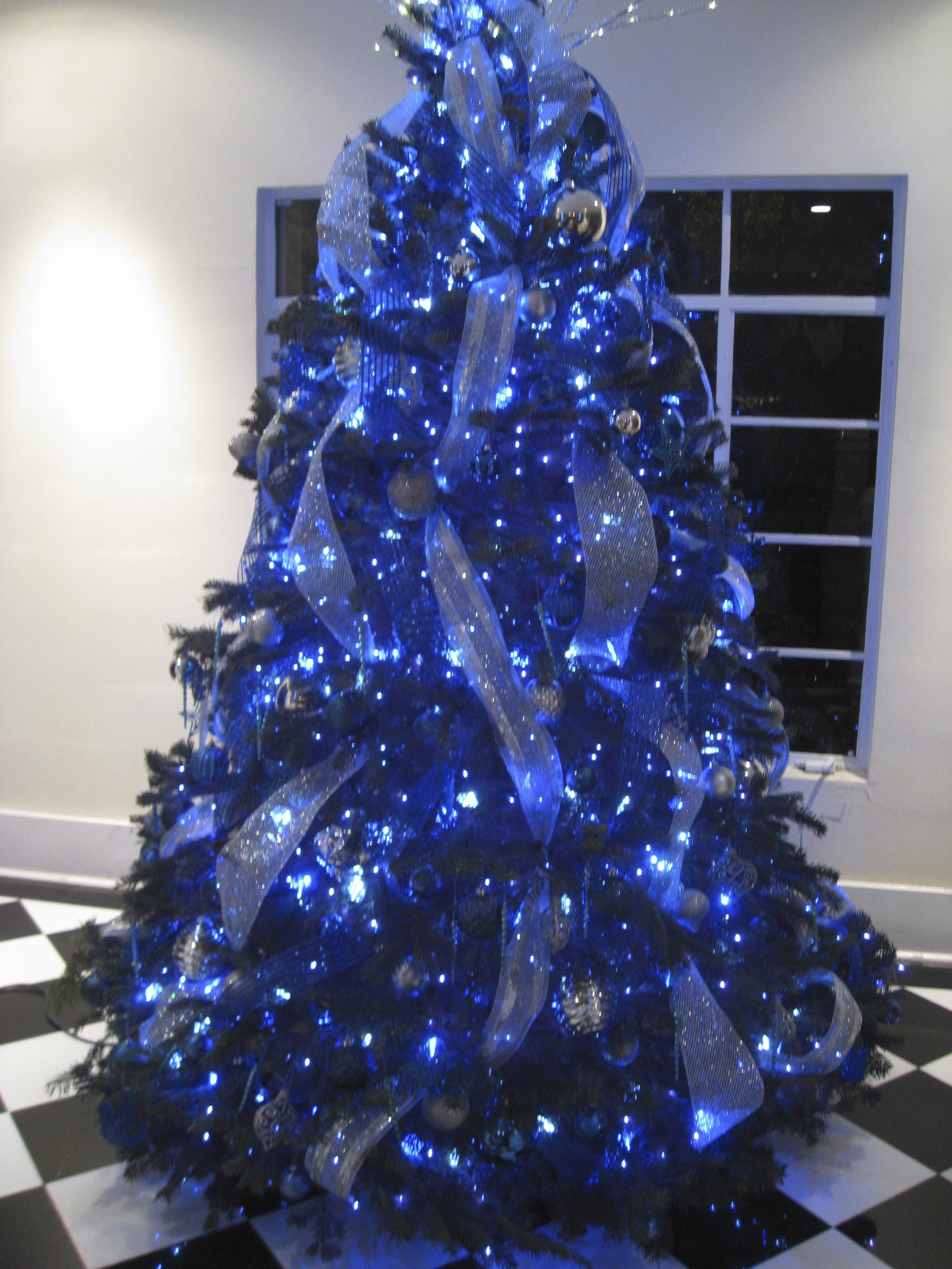 Avatar for Designs By Michael Anthony