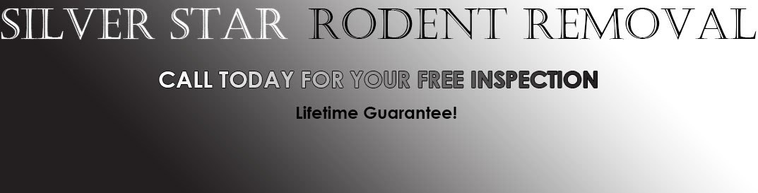 Avatar for Silver Star Rodent Removal LLC