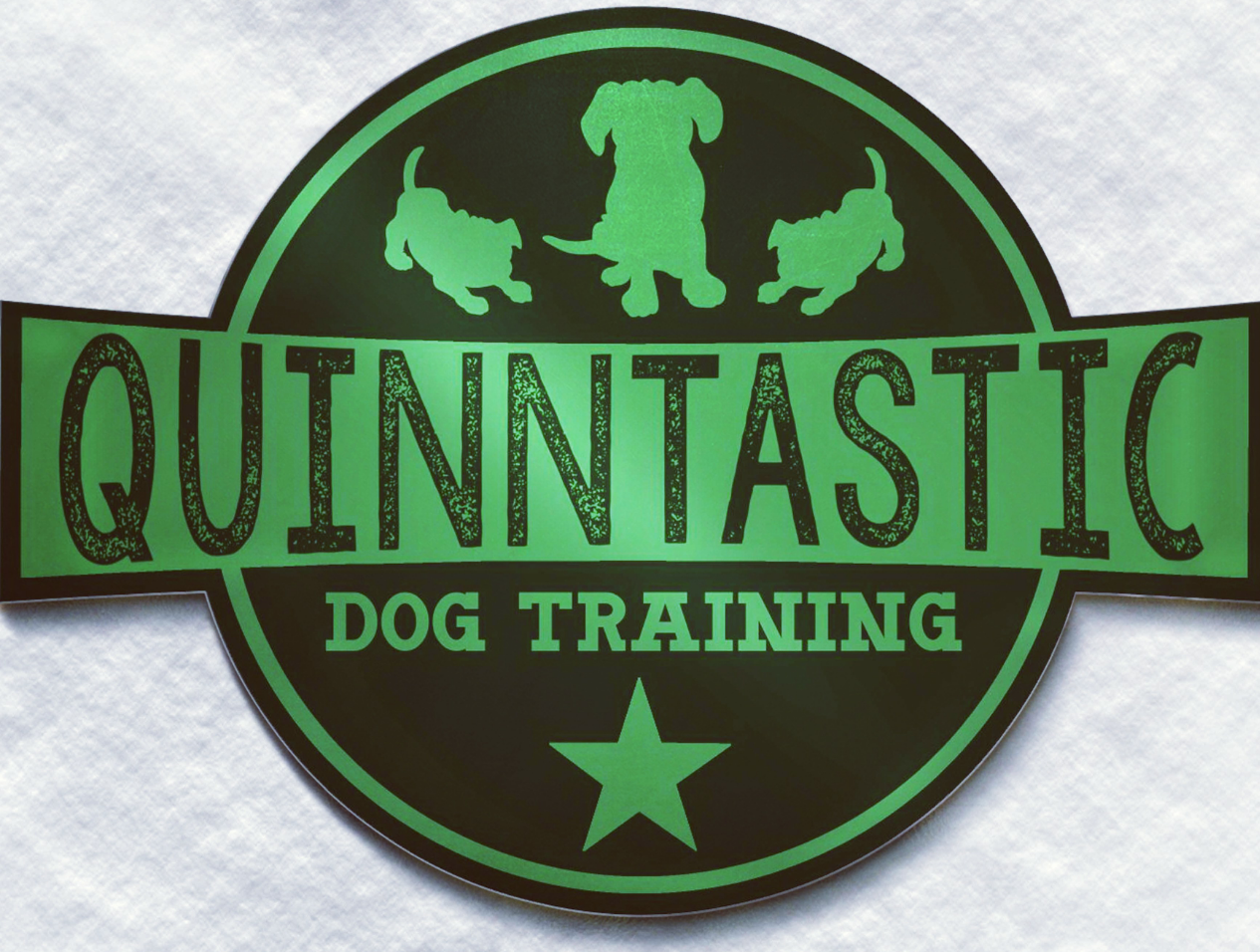 Quinntastic Dog Training logo